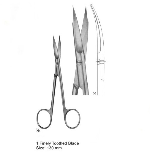 1 Finaly toothed Blade