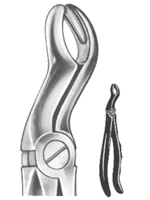 Relax Extracting Forceps 