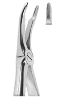 Extracting Forceps English pattern 