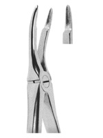 Extracting Forceps English pattern 