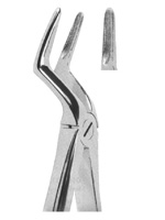 Extracting Forceps English pattern 