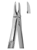 Extracting Forceps English pattern 