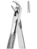 Extracting Forceps English pattern 