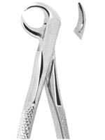 Extracting Forceps English pattern 