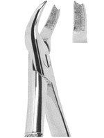 Extracting Forceps English pattern 