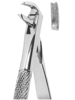 Extracting Forceps English pattern 