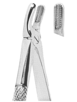 Extracting Forceps English pattern 