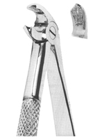 Extracting Forceps English pattern 