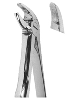 Extracting Forceps With Anatomically Shaped Handle