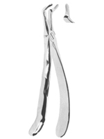 Extracting Forceps With Anatomically Shaped Handle