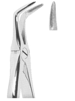 Extracting Forceps With Anatomically Shaped Handle